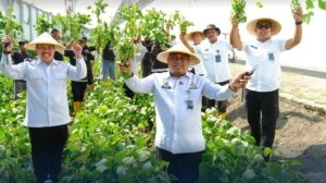 Lapas Malang Panen Edamame Super dari Bertani Warga Binaan
