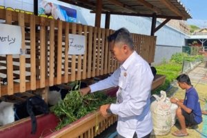 Lapas Mojokerto Kembangkan Peternakan Kambing
