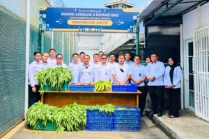 Lapas Narkotika Jakarta Gelar Panen Raya
