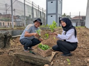 Lapas Purwokerto Gelar Penanaman Cabai dan Terong