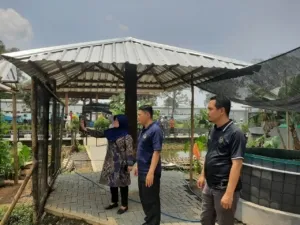 Lapas Purwokerto dan Unsoed Rencana Budidaya Lebah Klanceng