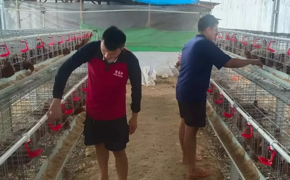 Lapas Solok Ajak WBP Ternak Ayam Petelur, Jadi Wirausahawan