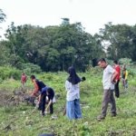 Lapas Watampone Bersihkan Lahan Kosong jadi Kebun Kelapa