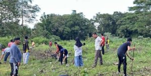 Lapas Watampone Bersihkan Lahan Kosong jadi Kebun Kelapa