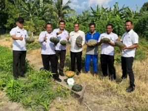 Lapas Kelas IIA Palu perkuat ketahanan pangan nasional dengan kegiatan pertanian mandiri, mendukung 13 Asta Cita Pembangunan Nasional. (Dok: Humas Lapas Palu)