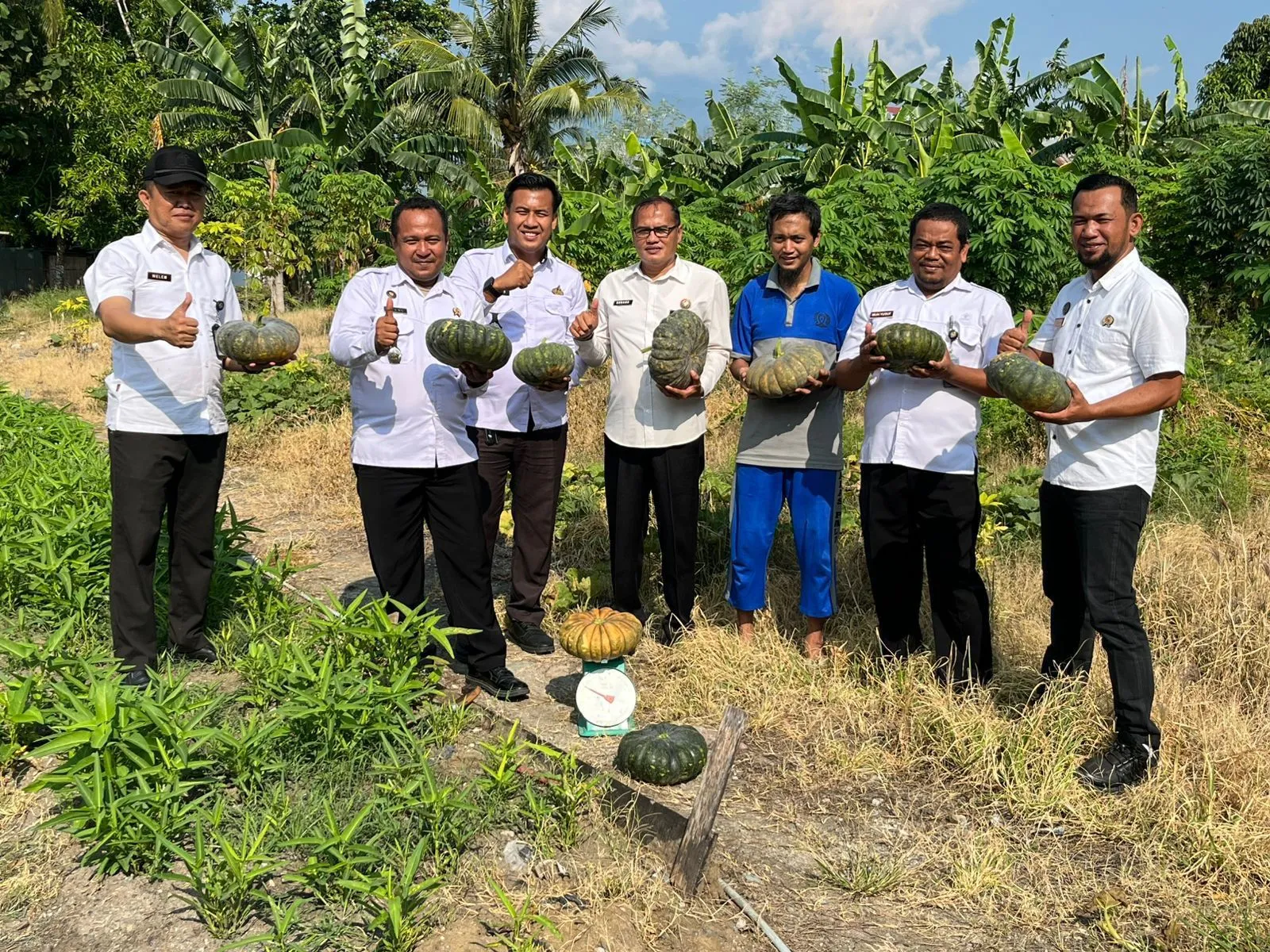 Lapas Kelas IIA Palu perkuat ketahanan pangan nasional dengan kegiatan pertanian mandiri, mendukung 13 Asta Cita Pembangunan Nasional. (Dok: Humas Lapas Palu)