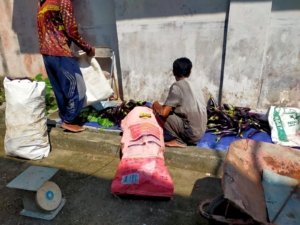 Lapas Kuala Tungkal panen 60 kg terong sebagai hasil pembinaan kemandirian warga binaan, didampingi Kasubsi Giatja, Sunaryak. (Dok: Web Ditjenpas)