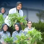 Lapas Perempuan Kelas IIB Bengkulu panen kangkung di SAE, dukung program ketahanan pangan nasional, Selasa (2/9). (Dok: Humas Lapas Perempuan Bengkulu)