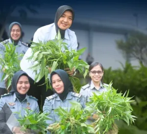 Lapas Perempuan Kelas IIB Bengkulu panen kangkung di SAE, dukung program ketahanan pangan nasional, Selasa (2/9). (Dok: Humas Lapas Perempuan Bengkulu)
