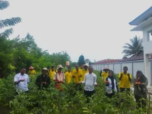 Lapas Kelas III Namlea panen perdana 80 kg tomat hibrida, hasil budidaya sejak Juli, disaksikan BPP Waiperang dan YBTS, Rabu (24/9). (Dok: Humas Lapas Namlea)