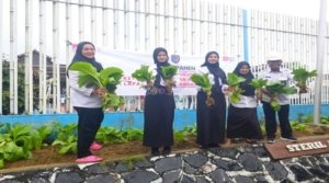 Lapas Kelas IIA Pangkalpinang berhasil memanen 27 kilogram sawi caisim yang dibudidayakan di area kunjungan Lapas, Rabu (3/9). (Dok: Web Ditjenpas)