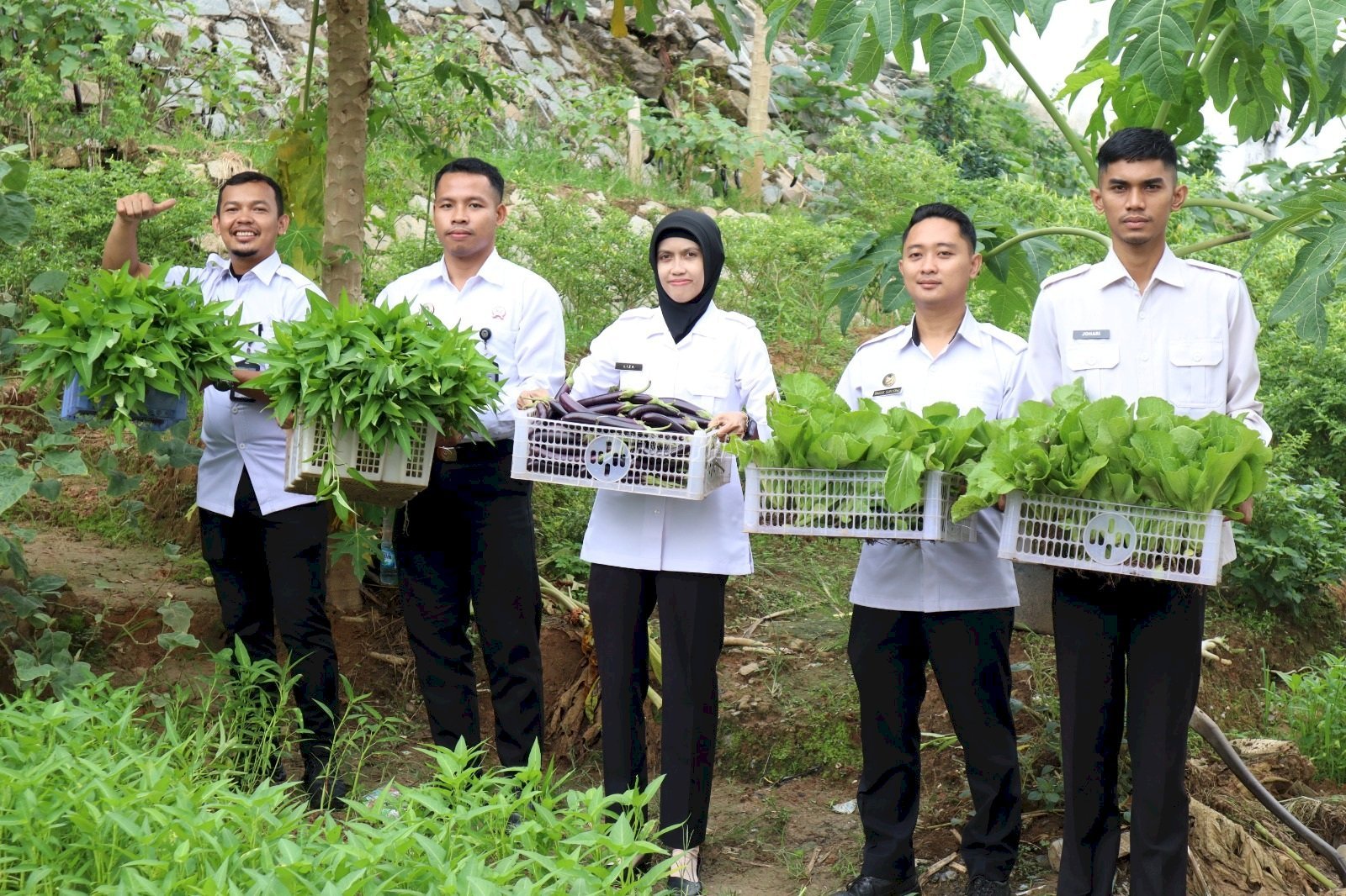 Warga Binaan Rutan Kelas IIB Sanggau panen kangkung, sawi, dan terong hasil program pembinaan kemandirian, Rabu (3/9). (Dok: Web Ditjenpas)