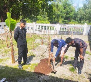 Lapas Kelas III Geser dukung program ketahanan pangan Menimipas dengan pemupukan tanaman pisang oleh Warga Binaan, Kamis (18/9). (Dok: Humas Lapas Geser)