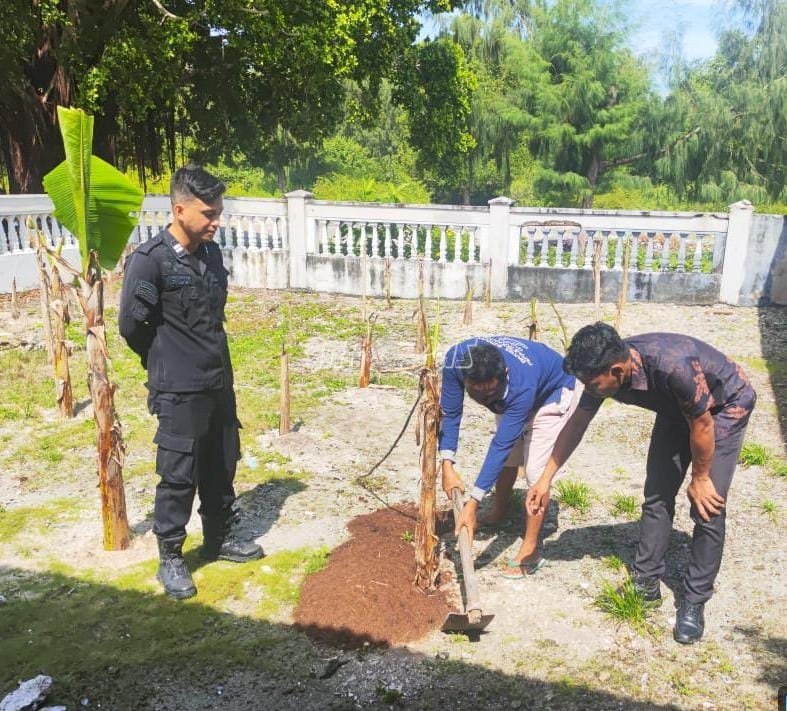 Lapas Kelas III Geser dukung program ketahanan pangan Menimipas dengan pemupukan tanaman pisang oleh Warga Binaan, Kamis (18/9). (Dok: Humas Lapas Geser)