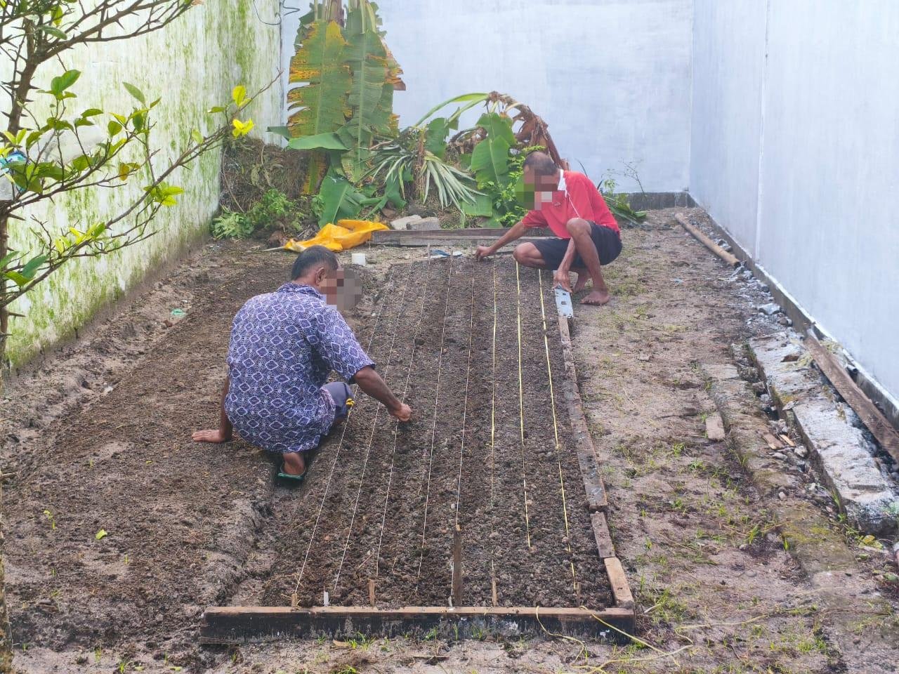 Lapas Saparua lanjutkan penanaman bibit kangkung sebagai bagian program ketahanan pangan dan pemberdayaan warga binaan. (Dok: Humas Lapas Saparua)