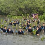 PT PAL Indonesia menanam 2.000 bibit mangrove dan menggelar aksi bersih-bersih pantai di kawasan pesisir Gunung Anyar, Surabaya. (Dok: Istimewa)