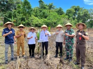 Lapas Wahai sukses gelar Penanaman Kelapa Serentak dukung ketahanan pangan nasional bersama Forkopimcam. (Dok: Humas Lapas Wahai)