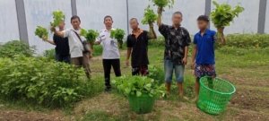 LPKA Kelas I Medan gelar pelatihan pertanian untuk anak binaan guna tanamkan kemandirian, kerja sama, dan tanggung jawab. (Dok: Humas LPKA Medan)