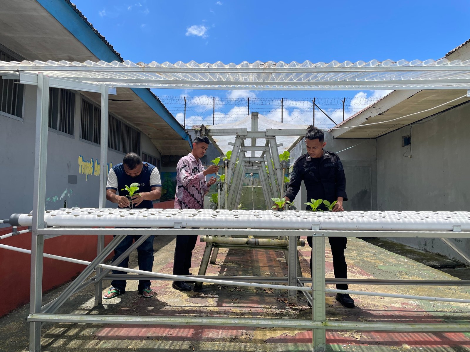 Rutan Ambon Perluas Produksi Pakcoy, Tambahan Alat Hidroponik