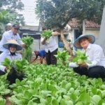Rutan Banyumas Panen 20 Kg Pakcoy Bersama Warga Binaan