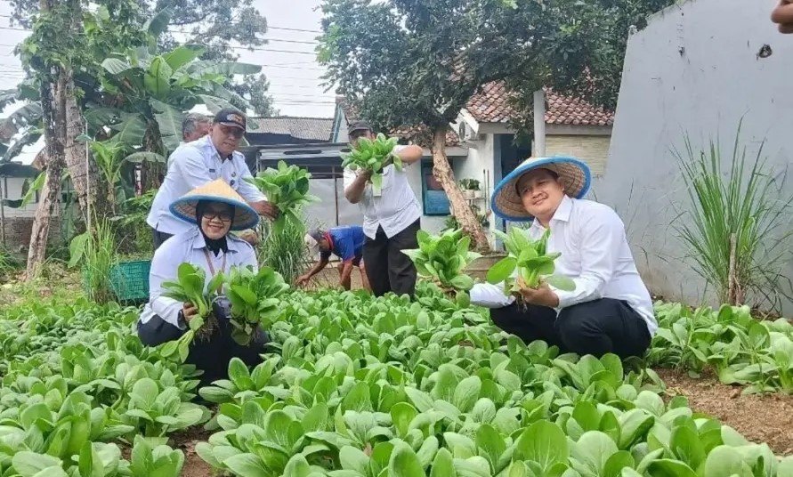 Rutan Banyumas Panen 20 Kg Pakcoy Bersama Warga Binaan