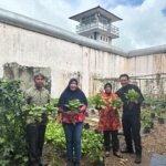 Rutan Bengkulu Panen Pakcoy, Wujud Kemandirian Warga Binaan