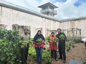 Rutan Bengkulu Panen Pakcoy, Wujud Kemandirian Warga Binaan