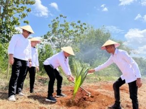 Rutan Sukadana Tanam 30 Bibit Pohon Kelapa