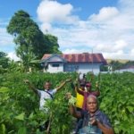 Pegawai Lapas Kelas III Namlea tunjukkan dukungan pada hasil pertanian warga binaan dengan membeli buncis dari lahan SAE, Sabtu (6/9). (Dok: Humas Lapas Namlea)