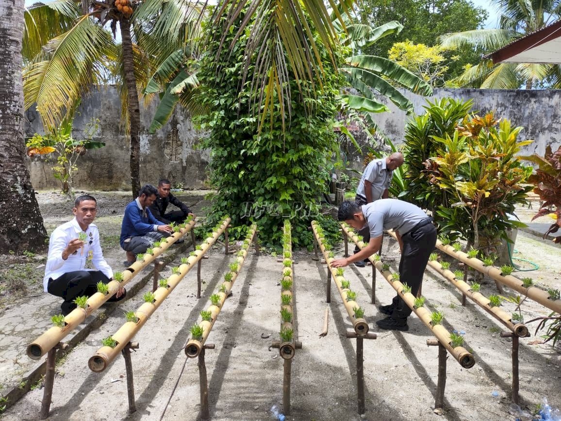 Lapas Kelas III Geser kembangkan budidaya sayuran hidroponik dukung ketahanan pangan melalui pembimbingan dan pendampingan Warga Binaan. (Dok: Humas Lapas Geser)