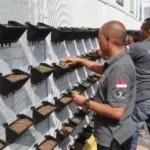 Vertical Garden Inovasi di Lapas Garut untuk Pembinaan WBP