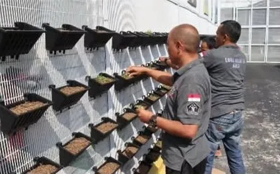 Vertical Garden Inovasi di Lapas Garut untuk Pembinaan WBP