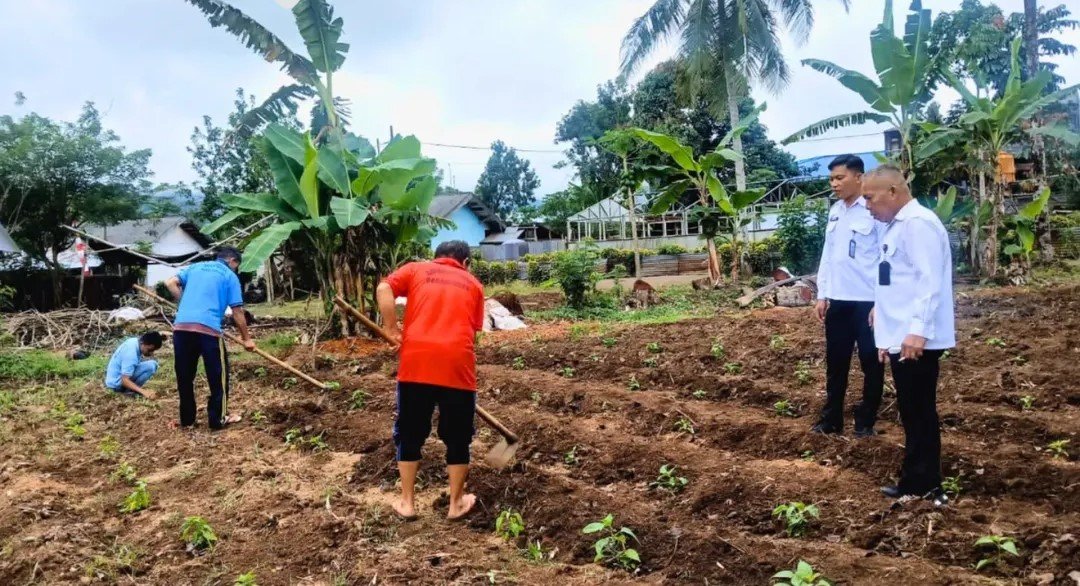 WBP Asimilasi Lapas Tondano Ikuti Kegiatan Bercocok Tanam
