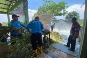 WBP Lapas Malang Ikuti Pelatihan Pembuatan Pakan Fermentasi