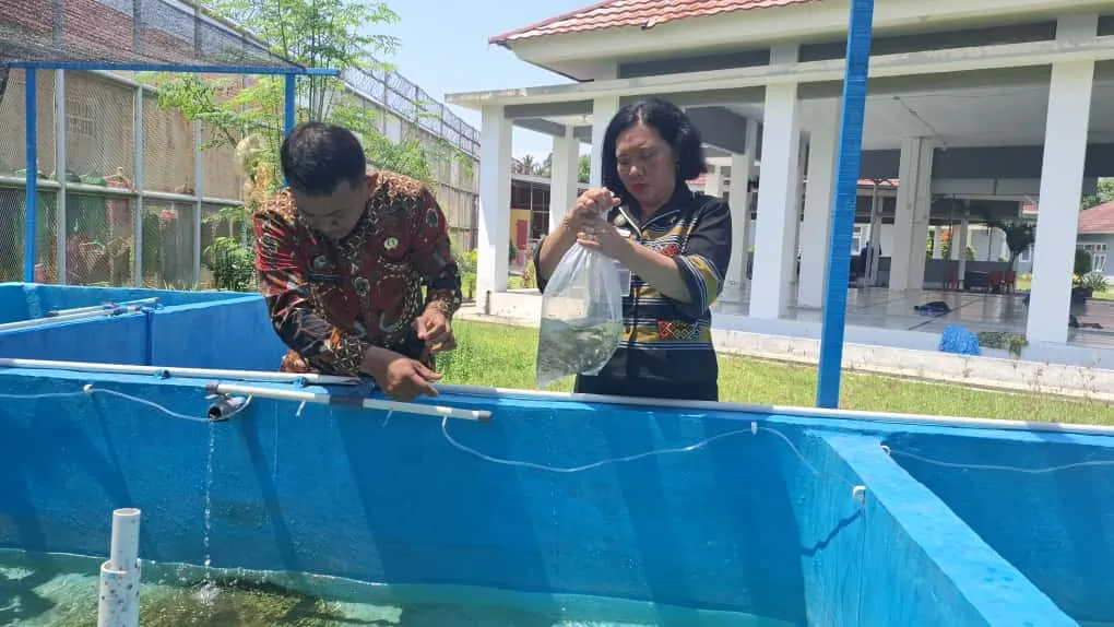 Lapas Perempuan Palu dukung kemandirian warga binaan lewat penaburan 1.200 benih ikan nila di kolam budidaya. (DOk: Humas Lapas Perempuan Palu)