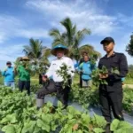 Lapas Malang Panen 6 Kuintal Edamame, Bukti Nyata Keberhasilan Program Pembinaan Berbasis Pertanian