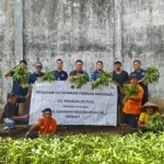 Rutan Rengat Gelar Panen Raya Sayuran, Wujud Nyata Dukungan terhadap Program Ketahanan Pangan Nasional