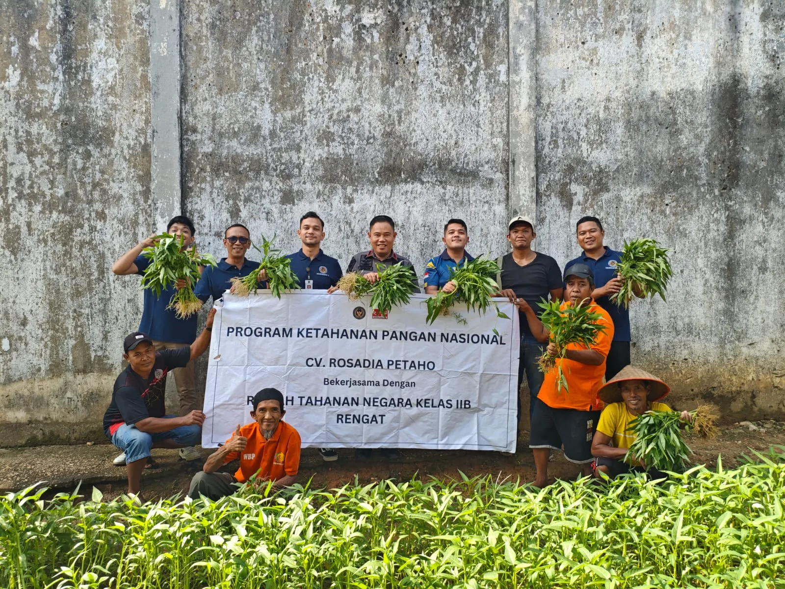 Rutan Rengat Gelar Panen Raya Sayuran, Wujud Nyata Dukungan terhadap Program Ketahanan Pangan Nasional