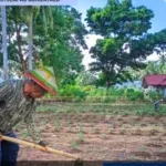 Lapas Boalemo Rutin Rawat Kebun Sayur, Dukung Produktivitas Pertanian dan Ketahanan Pangan Nasional