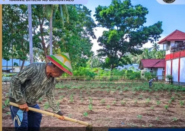Lapas Boalemo Rutin Rawat Kebun Sayur, Dukung Produktivitas Pertanian dan Ketahanan Pangan Nasional