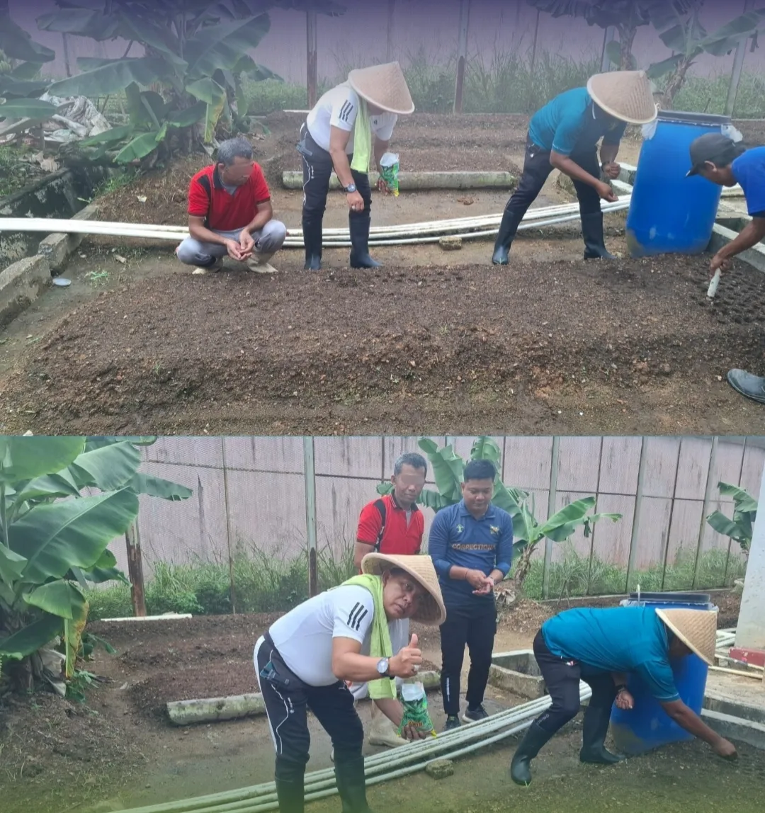 Penanaman Bibit Kangkung di Lapas Tanjungpinang. (Dok: Humas Lapas Tanjungpinang)