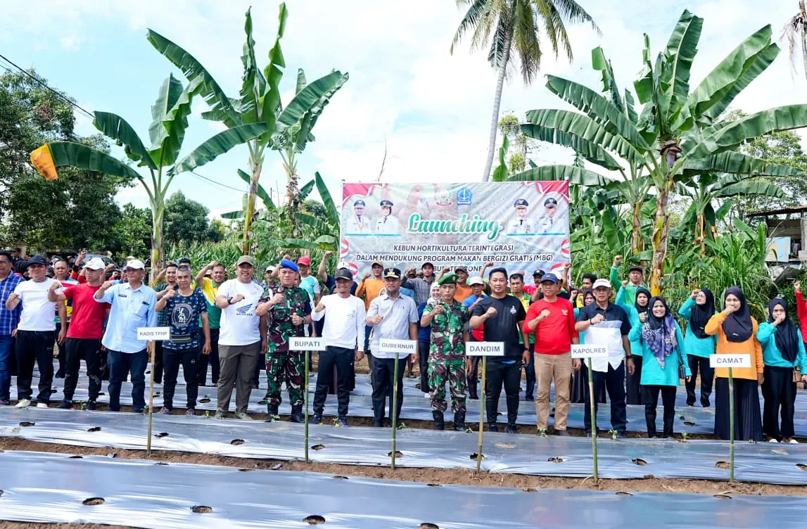 Kebun Hortikultura Terintegrasi untuk Makan Bergizi Gratis