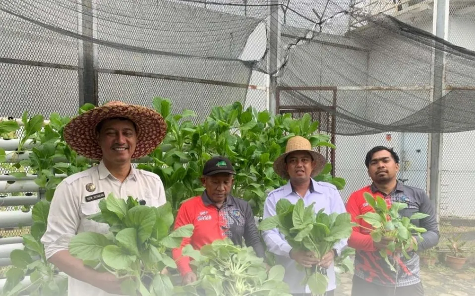 Lapas Narkotika Kasongan Panen 12 Kg Sawi Hidroponik