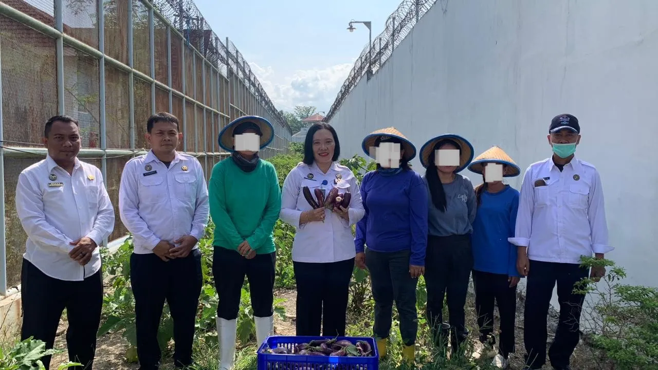 Lapas Perempuan Palu Panen Terong Sebanyak 25 Kg