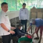 Panen Magot oleh Warga Binaan Lapas Purwokerto