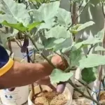 Lapas Samarinda Cetak WB Mandiri melalui UMKM dan Pangan