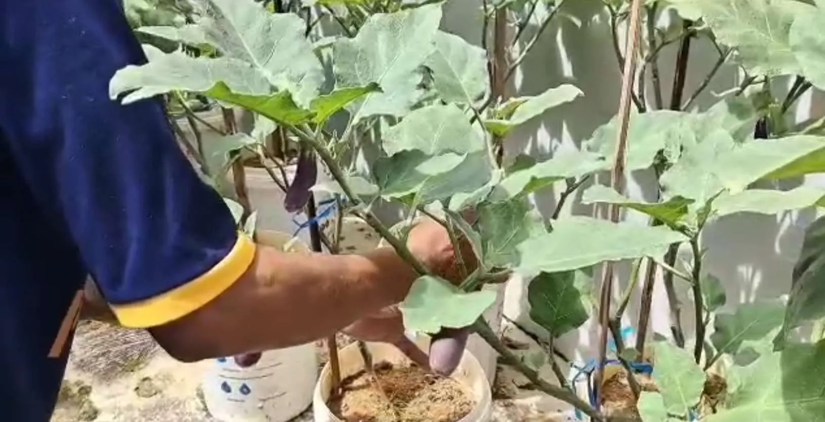 Lapas Samarinda Cetak WB Mandiri melalui UMKM dan Pangan