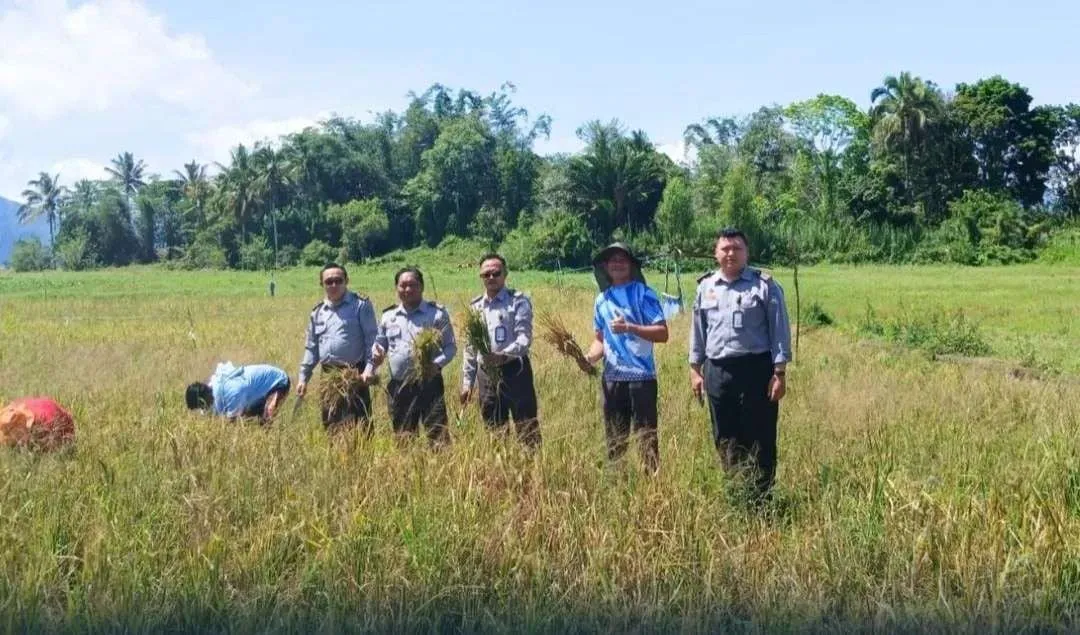 Panen Padi di Lapas Tondano, Bukti Nyata Pembinaan WB