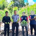 Lapas Wahai Panen 40 Buah Pare, Bukti Berhasil Pembinaan WB