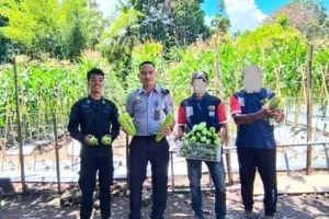 Lapas Wahai Panen 40 Buah Pare, Bukti Berhasil Pembinaan WB
